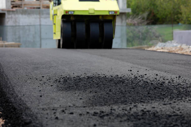 Best Residential Driveway Paver Services  in St Peter, WI